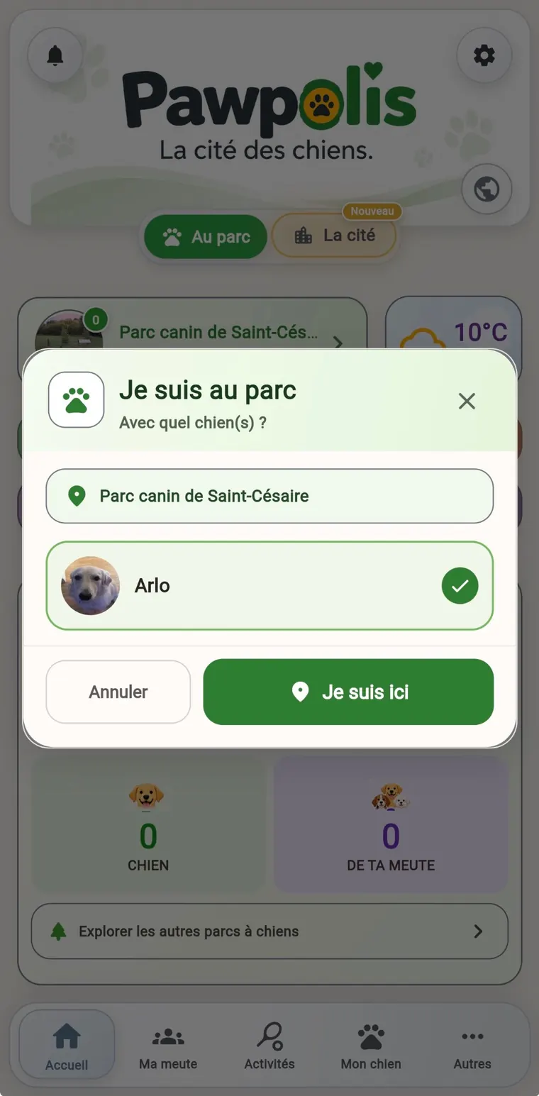 Activités éducatives Pawpolis